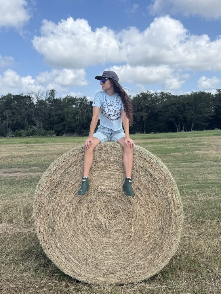 Field Candy
